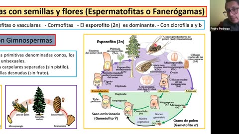 ADC SEMESTRAL 2022 Semana 15 BIOLOGIA