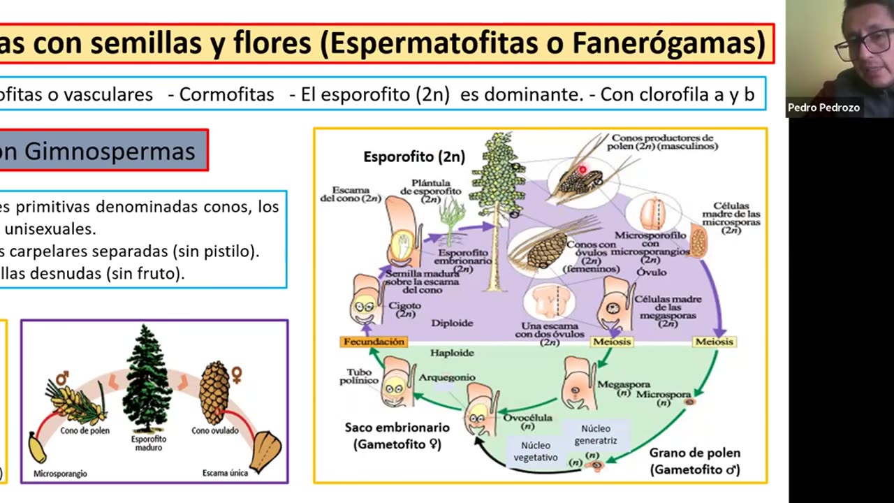 ADC SEMESTRAL 2022 Semana 15 BIOLOGIA
