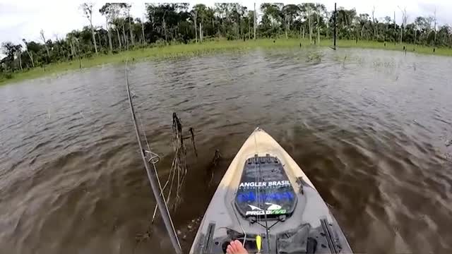 prscaria in the amazon you are nervous ? go fishing!