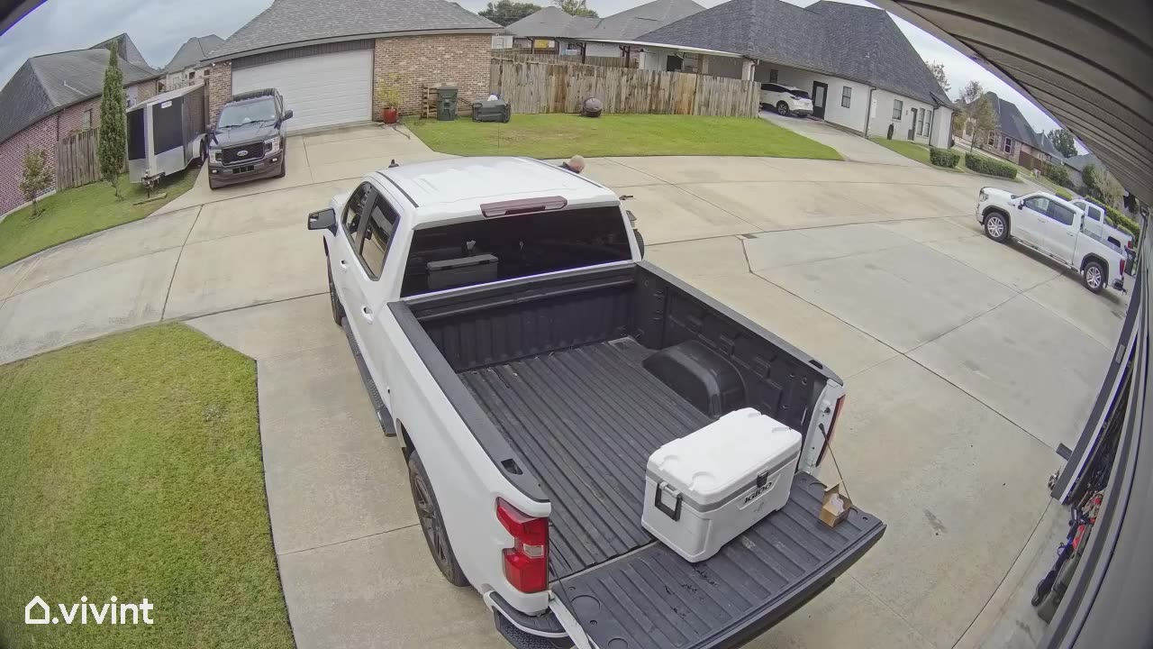 Backwards Throttle Sends ATV On Lively Jaunt