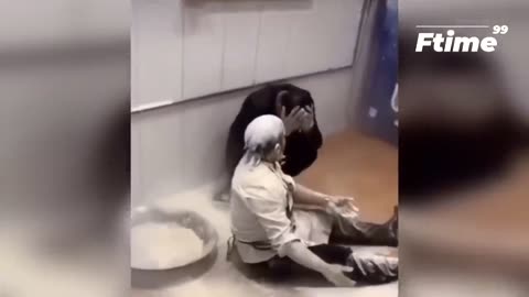 Best Funny Videos -- - People Being Idiots _ -- Try Not To Laugh - BY FunnyTime99 --️ _33