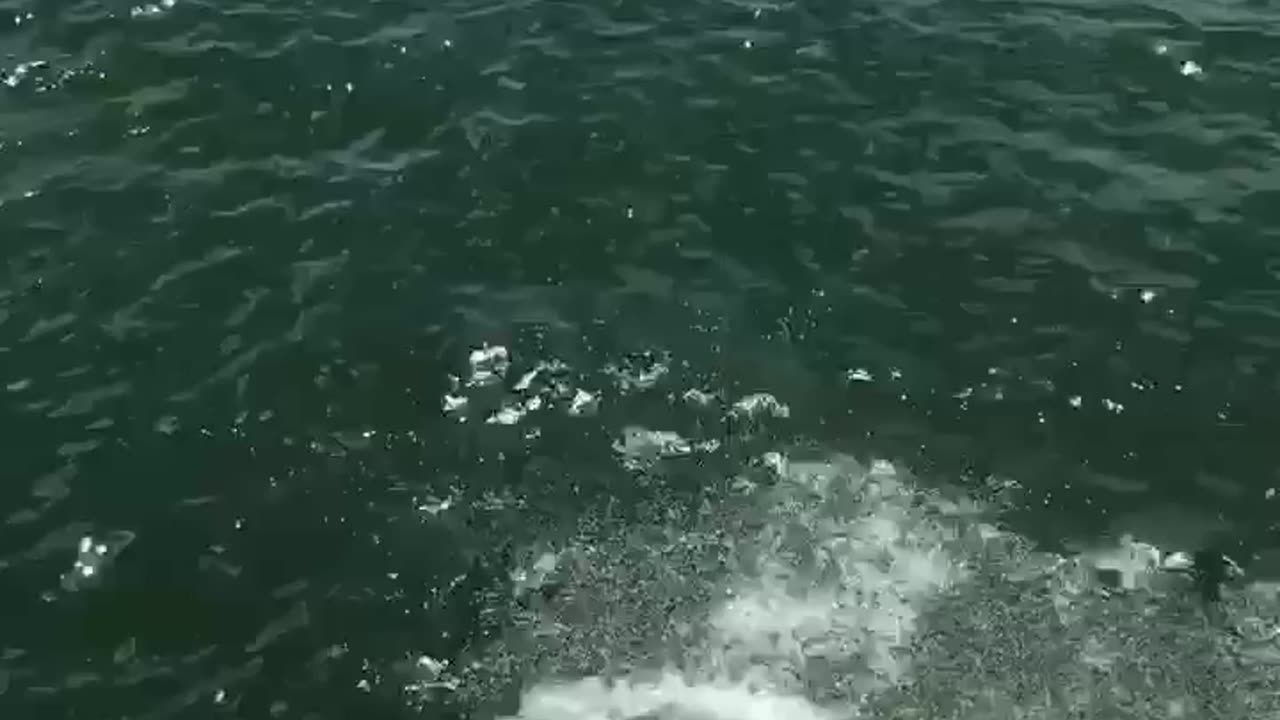 Daughter and granddaughter, jumping off a cliff in Austin, Texas 7/2019