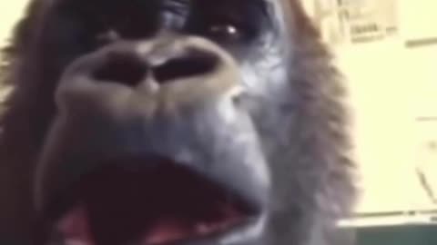 Ok