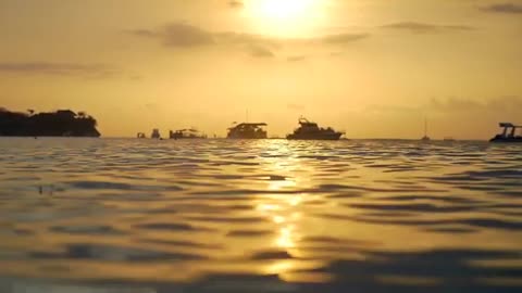 Relaxing Music | Sleeping, Meditation, Stress Relief | [6839] ⭐️
