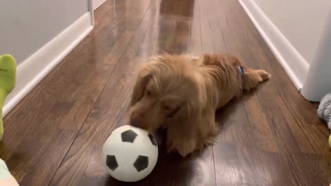 Ky Training to be a Soccer Star