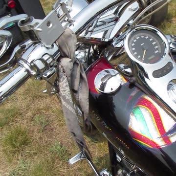 Custom Paint Harley Davidson