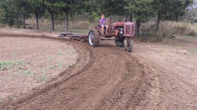 1946 Farmall B working in the Garden