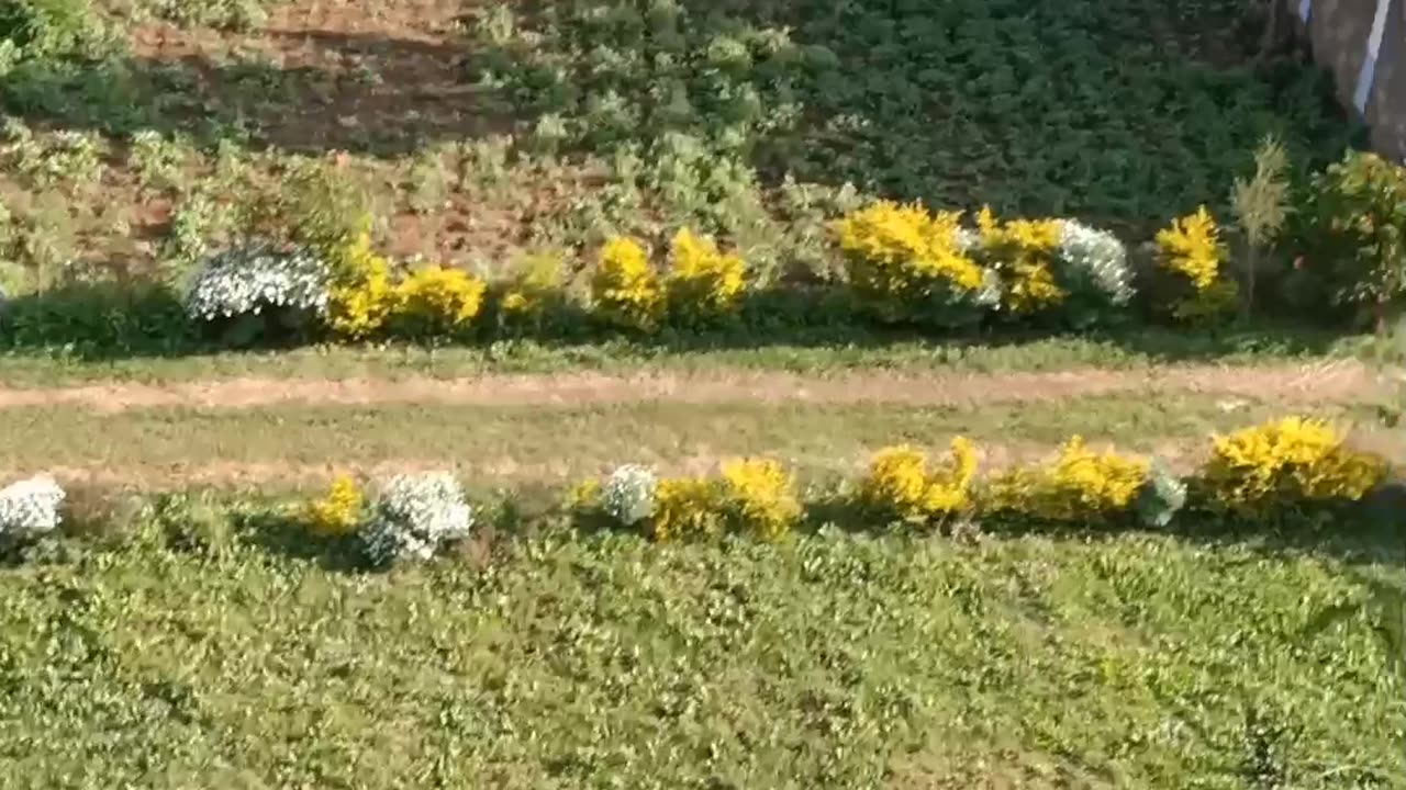 Home a place i can go