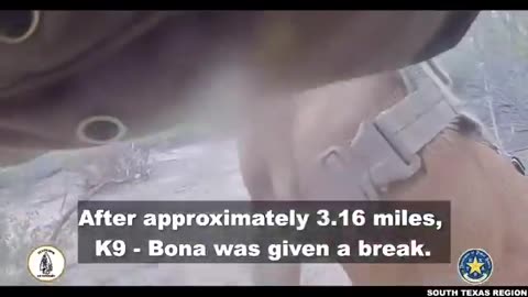 Texas DPS K-9 Unit Tracks 2 Illegal Aliens Through Miles of Brush