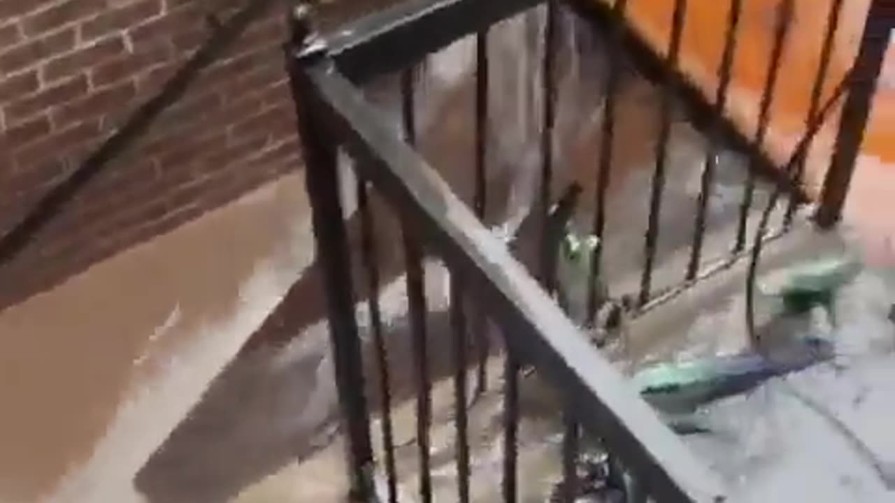 People grocery shopping in knee high water during the apocalyptic flooding in New York