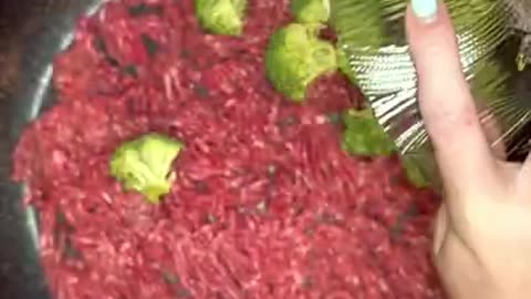 Homemade Dog recipes