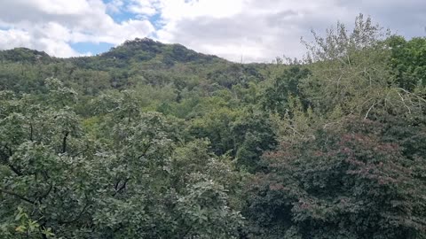 유튜브 2주 정지로 럼블 시동