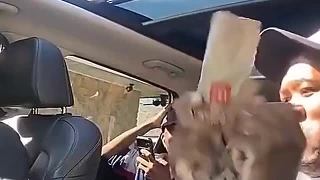 This is an angry puppy