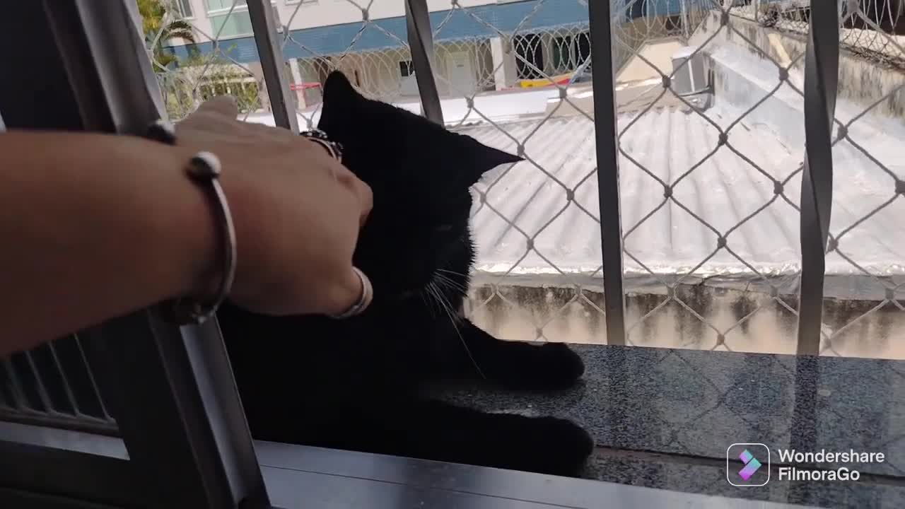 Capítulo 1 - Lá vem ela de novo....Aiai
