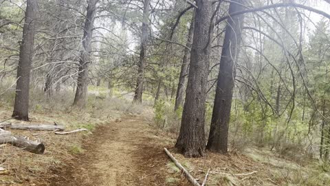 September is the Magic Month for Wilderness Exploring – Deschutes River – Central Oregon – 4K