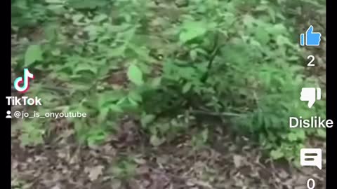 U.S volunteers shoot Russian apc