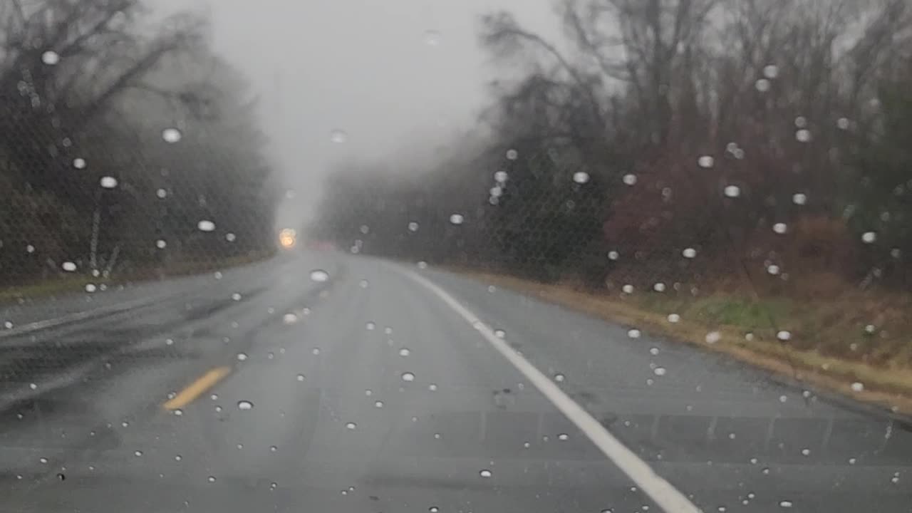 BUNKER REPORT 2/17/23 Short Ride Along