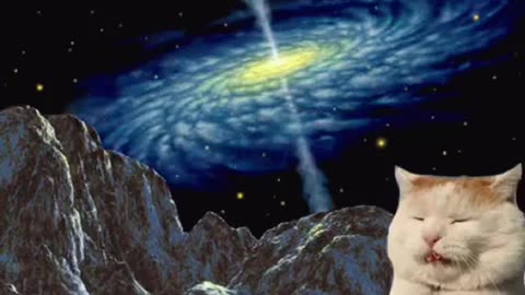 Space Cat Gif! 🐈💫