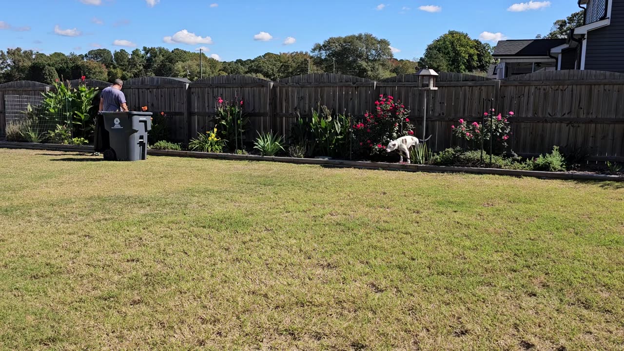 Gardening with Vinny