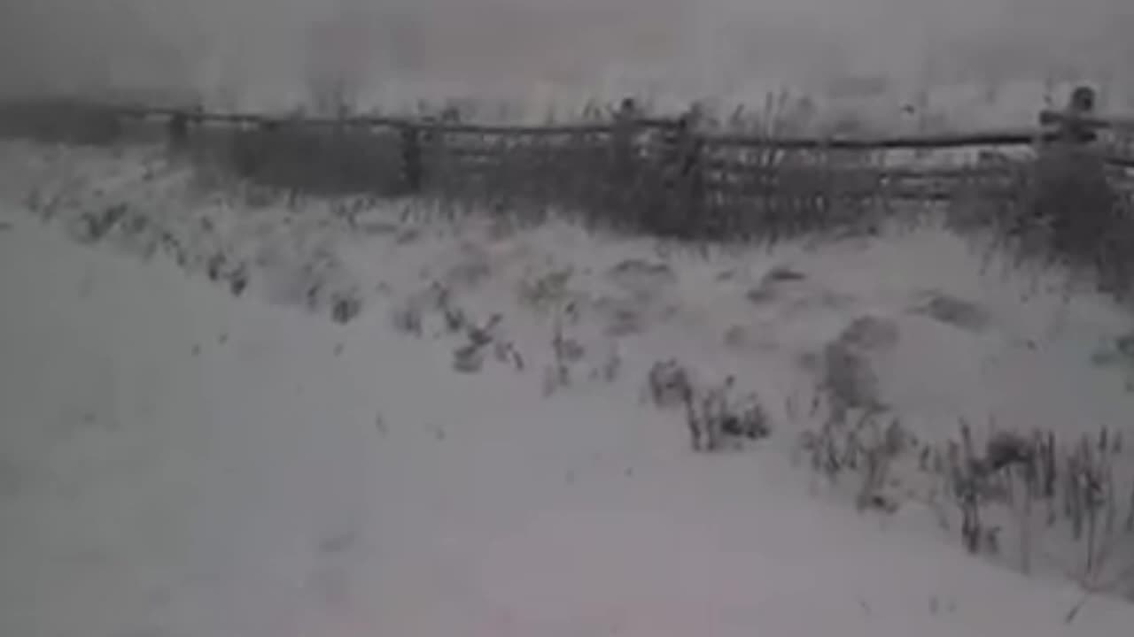 White Top Mountain, Virginia Novemeber Snow