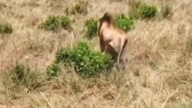 funny #funny video#Must watch new funny comedy videos 2022 best amazing funny comedy