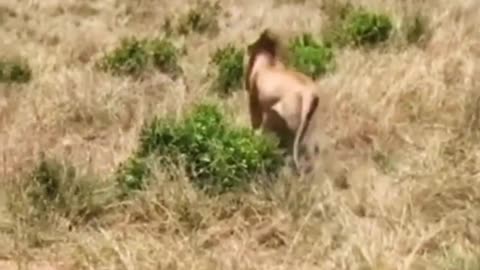 funny #funny video#Must watch new funny comedy videos 2022 best amazing funny comedy