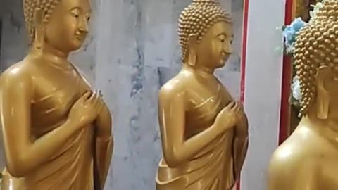 #Buddha Statues/Thailand