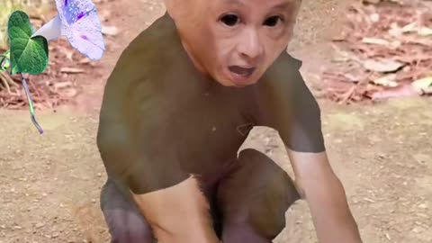 unny #funny video#Must watch new funny comedy videos 2022 best amazing funny comedy