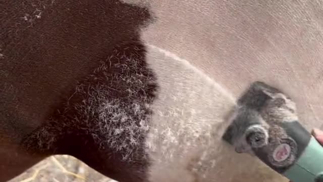 Just wait for it