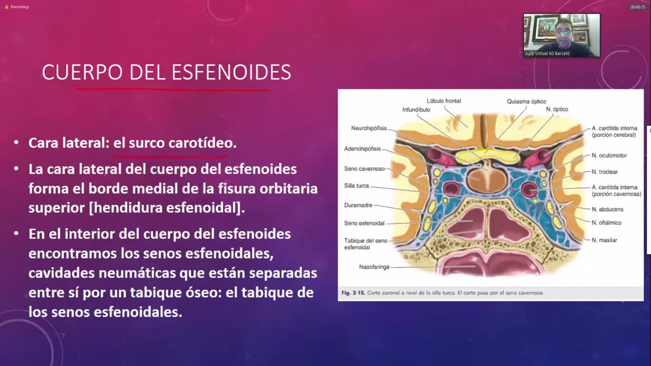 Clase 1 - Cabeza Orbita Nasal - Dr Sergio Paez 16-06-2021