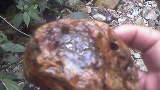 Precious metal inside rock behind Pan de Azucar