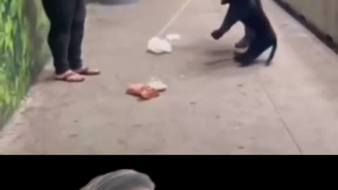 Is this a prank!!!🤣🤣