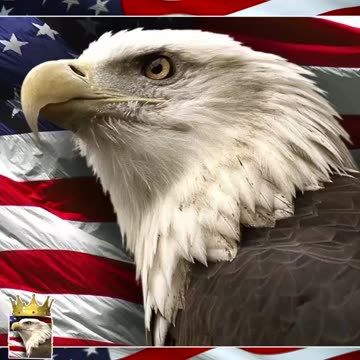 BRIAN MAST: What IDIOT decided that?