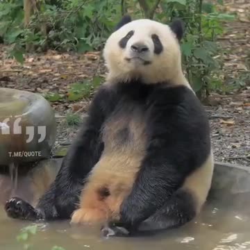 Anti-Loosh Video Number 198. LOOSH is real and bad. Explained below and watch the video