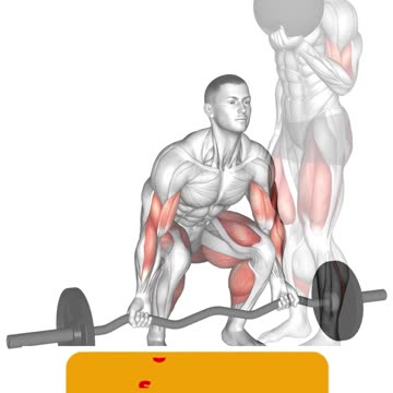 Leg & Biceps Workout #legexercises #bicepsworkout #bodybuilding #fitness #shorts #shortvideo #legs