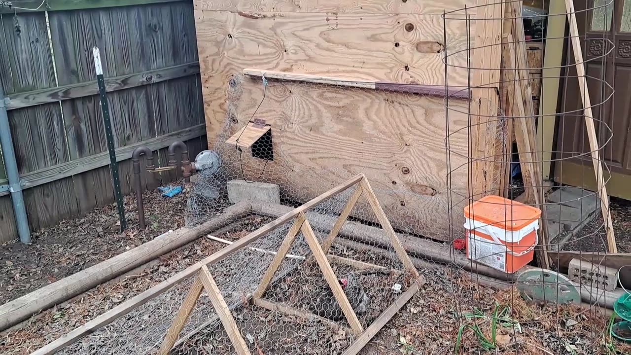 Ultimate Urban Homestead Chicken Coop