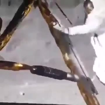 lo sbarco sulla luna da parte dell'America