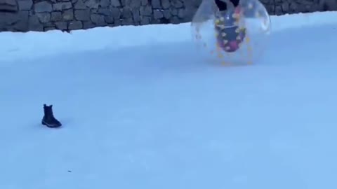 Fun in snow !!!!!!!!!!!
