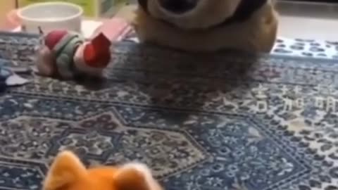 Follow Dog Sound