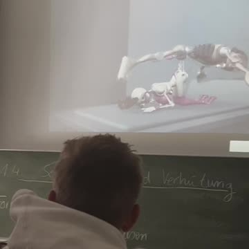 Szkoły w Niemczech zaczęły pokazywać pornografię w formie kreskówek.