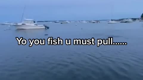 Yo you fish u must pull......