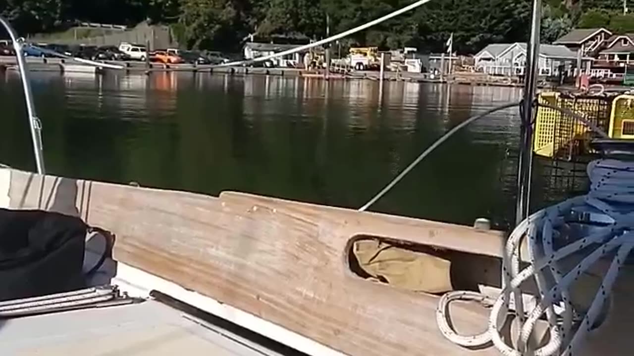 🎸🎶
