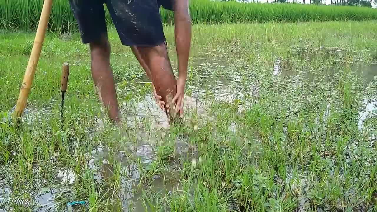 Amazing Hole Fish Trap- Smart Boy Build Fish Trap By Muddy soil ..