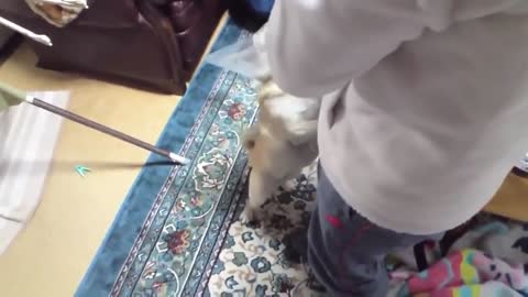 WoW!! Top 10 Dogs Barking Video Compilation