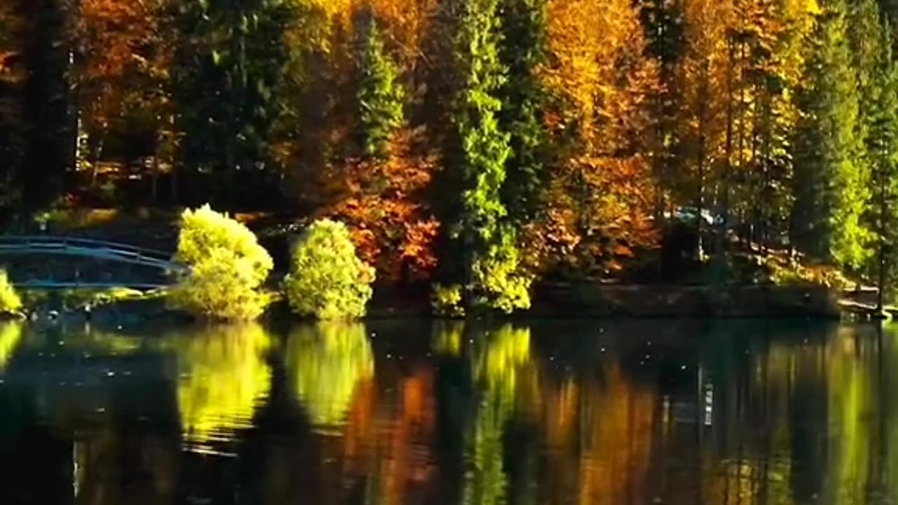Naturaleza