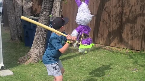 Mj pinata