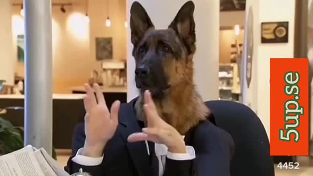 A real Dog with real human hands & reading newspapers at the reception! Say what?