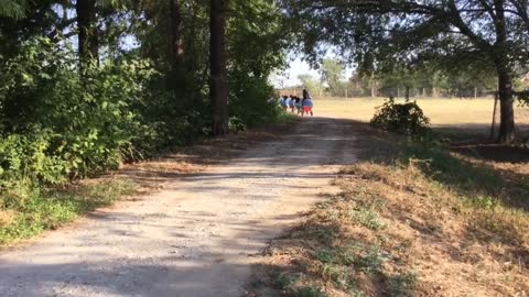 The Dog Train Rolls In Fort Worth