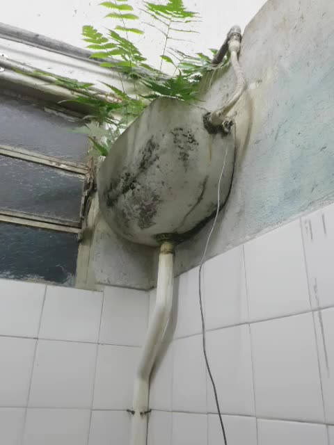 Toilet nature