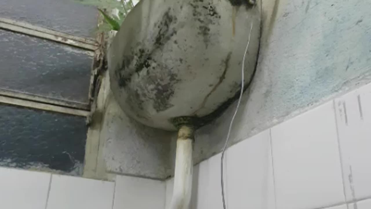 Toilet nature